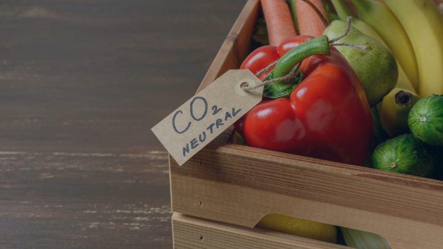 Building A Sustainable And Resilient Food System Milken Institute